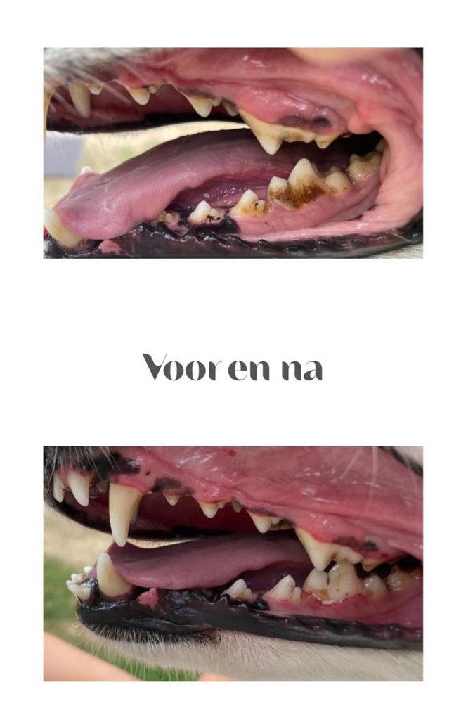 gebitsreiniging voor en na